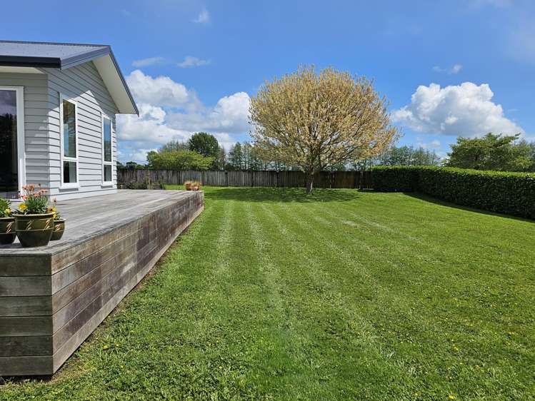 1091 Tauwhare Road Tauwhare_19