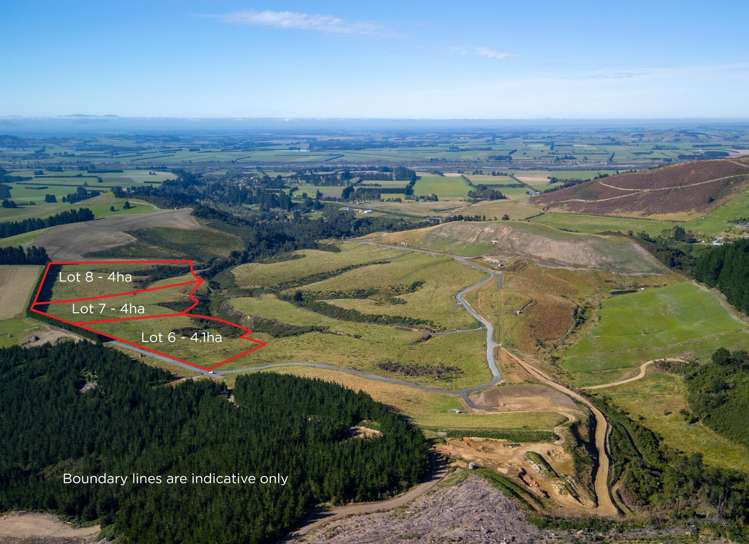 Tuscany Downs - 74 Glentui Bush Road Oxford_7