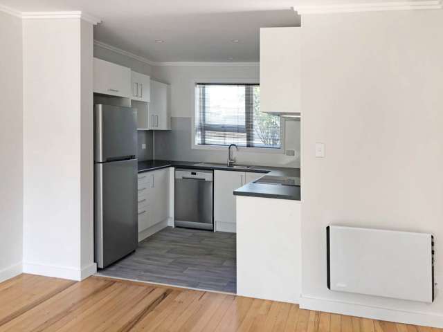 A/447 Great North Road Grey Lynn_3