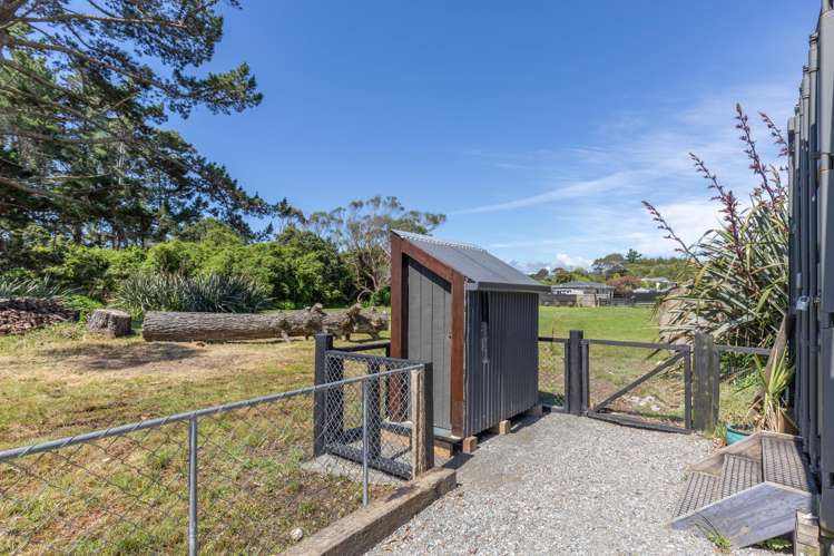 Pandora Avenue Camerons_12