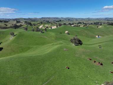 2829 Puketitiri Road_3