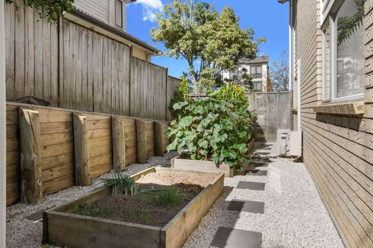 276 Murphys Road Flat Bush_20