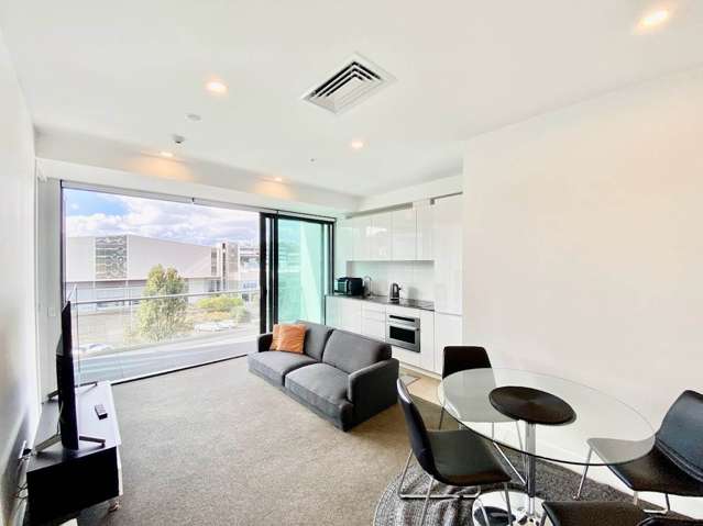 4E/371 Khyber Pass Road Newmarket_4