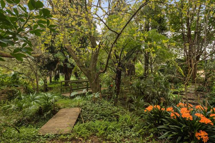 25 Gilmour Street Waihi_22