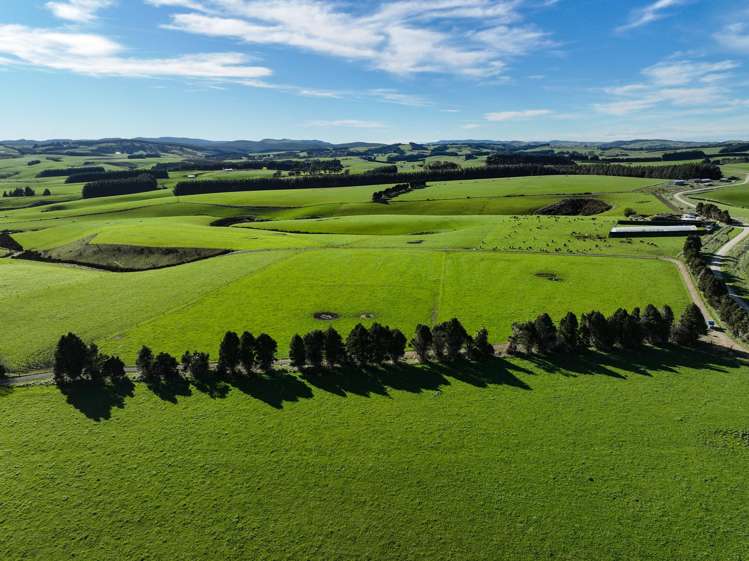 539. Mataura Island Fortrose Road Pine Bush_5