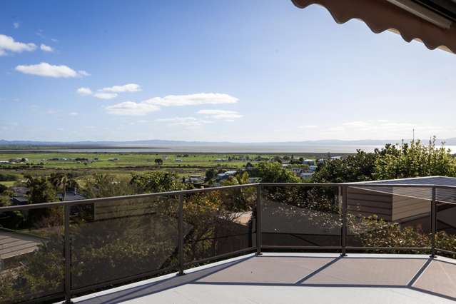 224 Reservoir Road Thames_3