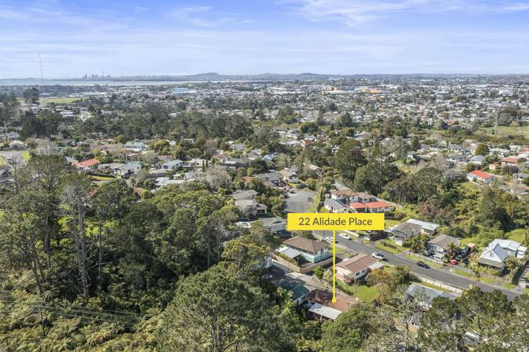 22 Alidade Place Massey_24