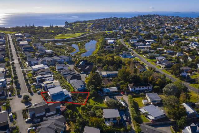 50 Remuremu Street Long Bay_1