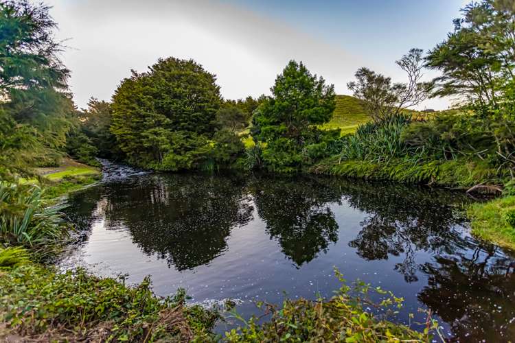 78 River Drive Kerikeri_26