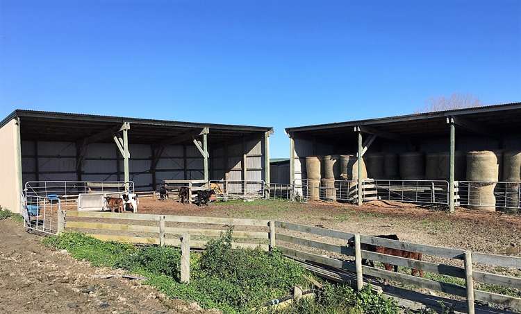 6036 State Highway 12 Arapohue_1