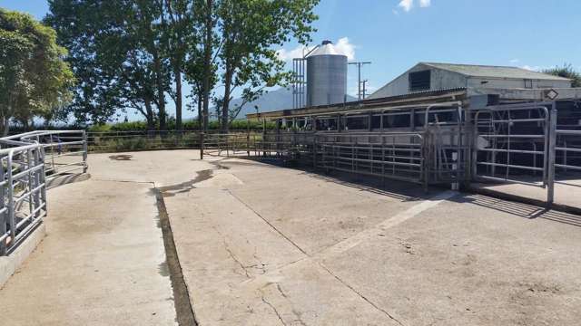 201 Steele Road Manawaru_4