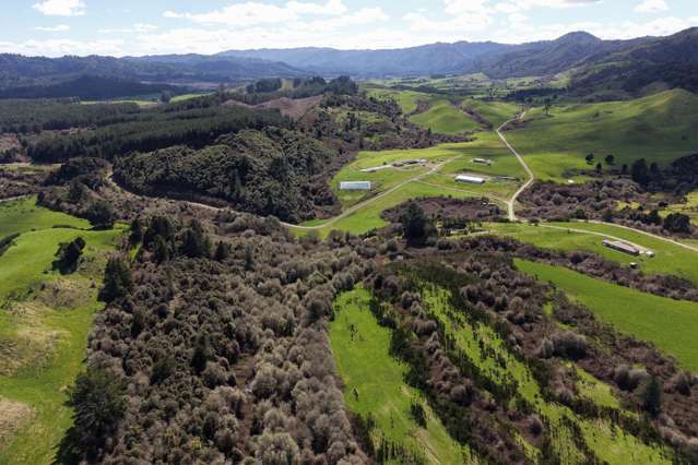 Lot 2/283 Minginui Road Galatea_3
