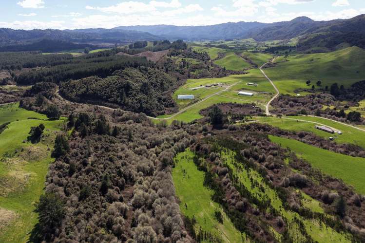 283 Minginui Road Galatea_40