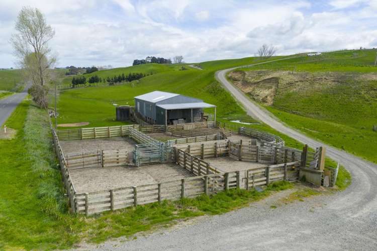 234 Sandon Road Feilding_3