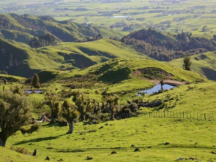 153 Hill Road Te Aroha_15