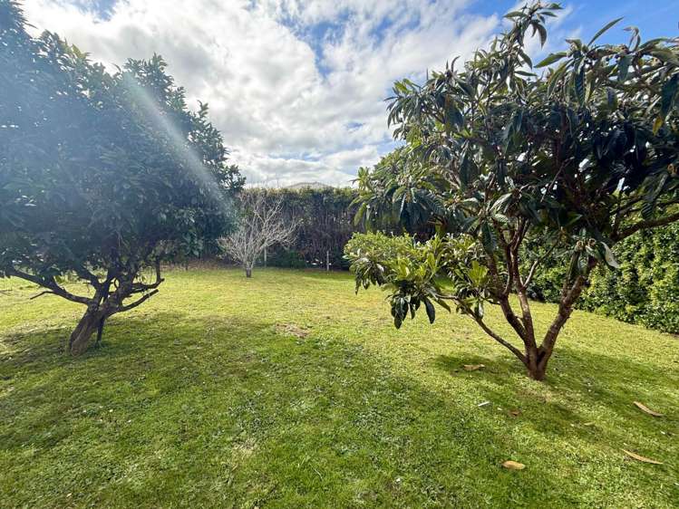 3/7 Portadown Avenue Pakuranga Heights_8