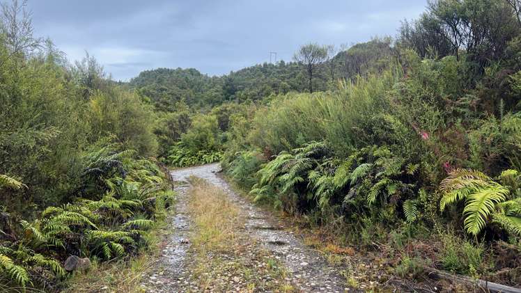 Whiskey Creek, State Highway 6 Charleston_3