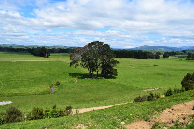 434 Pukehoi Road Eketahuna_9