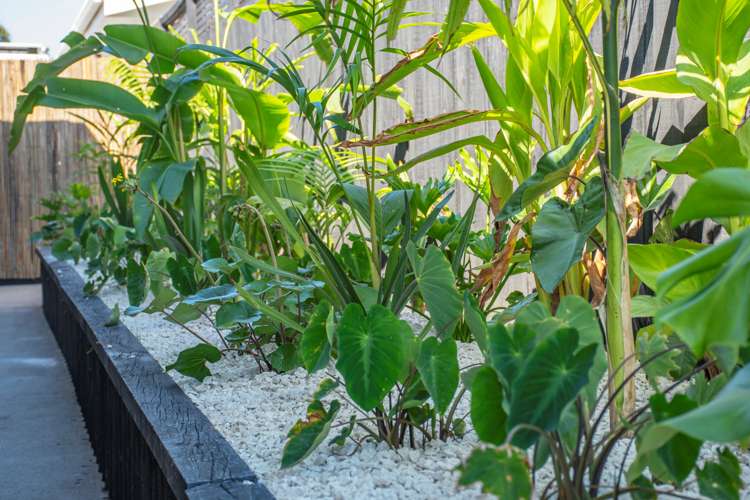 56a Concord Avenue Mount Maunganui_20