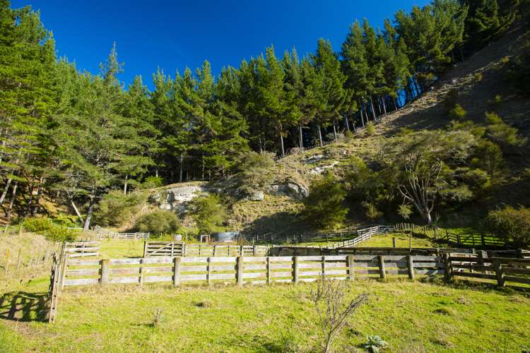 1247 Wharekopae Road Ngatapa_3