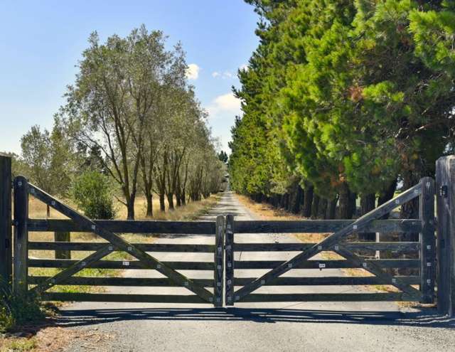 244D Georges Road Amberley_1
