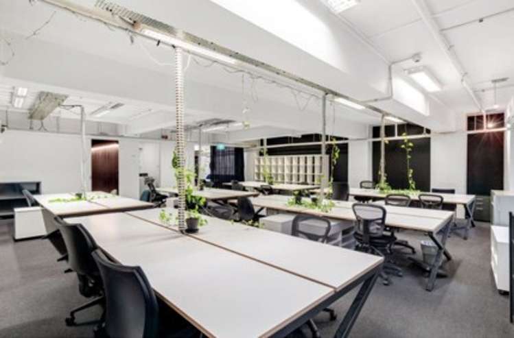 55 High Street Auckland Cbd_7