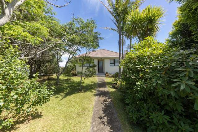 537 Richardson Road Mount Roskill_1