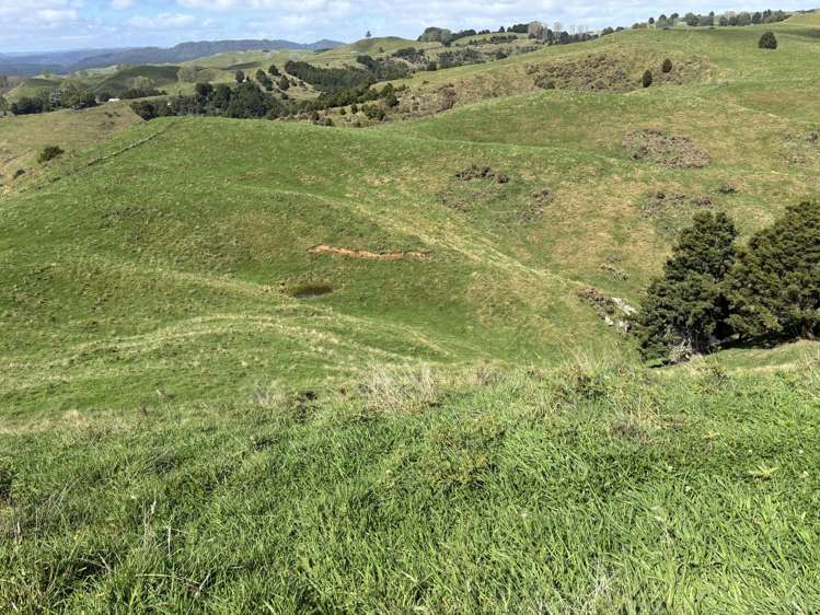 Paraketu Road Waimiha_13