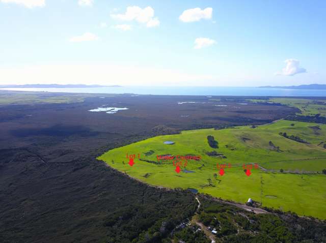 Lots 1-4 Tahanga Road Lake Ohia_1