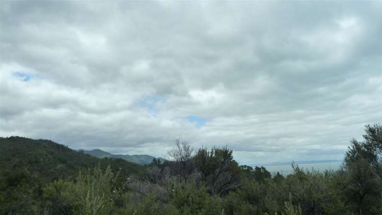 45 Otuturu Crescent Thames_21