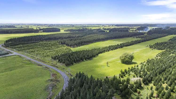 Santoft Road Bulls_4