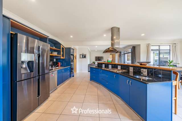 8 Tuhua Lane Brown Owl_3