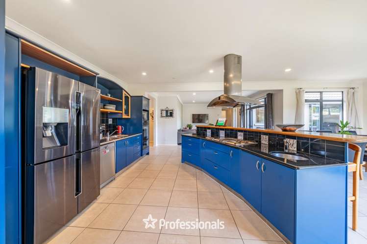 8 Tuhua Lane Brown Owl_3