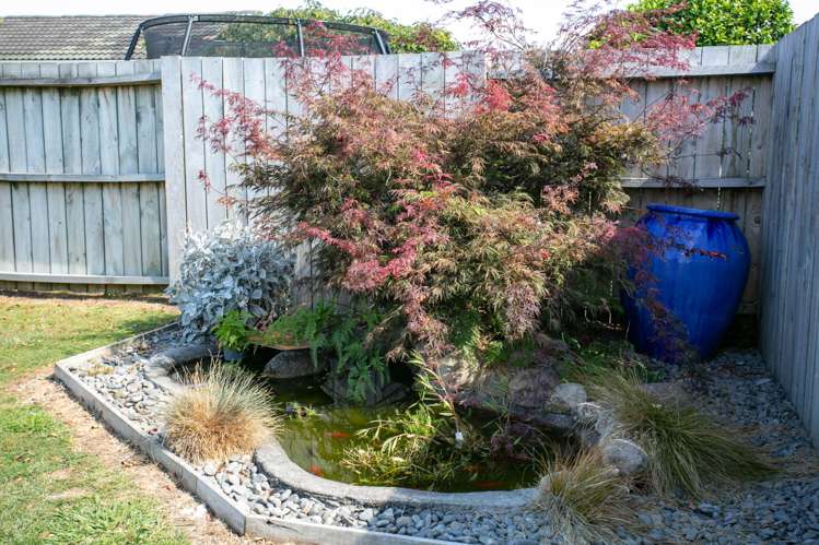 14 Findlater Street Matamata_19