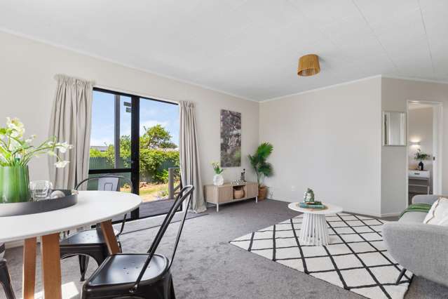 1A Quinn Road Levin_2