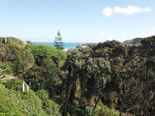 38 Kelly Street Dargaville Surrounds_4