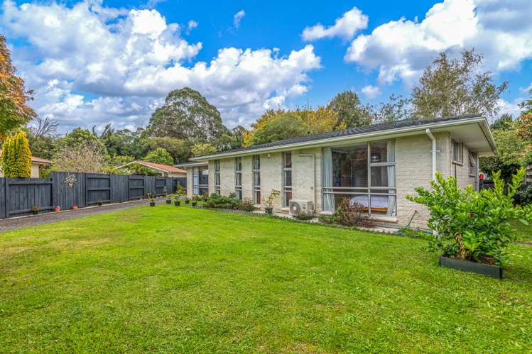 9 Spilman Place Awapuni_13