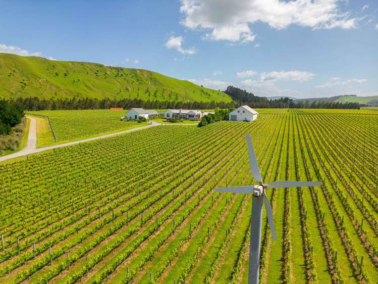 224 Te Muna Road Martinborough_16