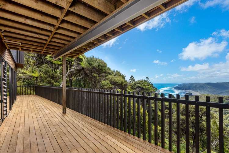 23 Log Race Road Piha_12