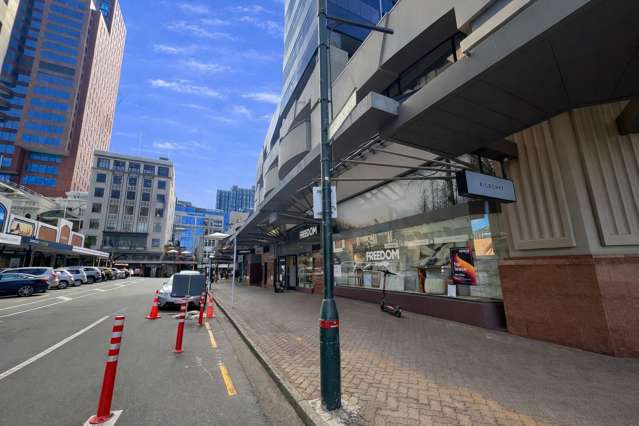 32 Mercer Street Wellington Central_2