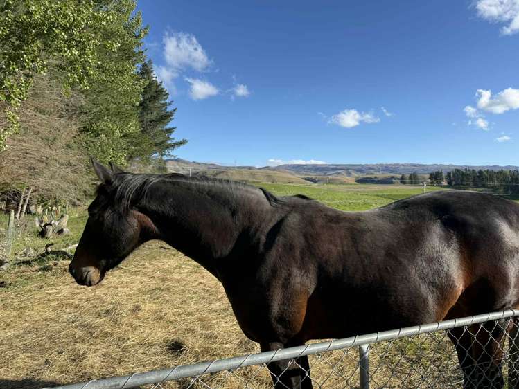 633 Ardgour Road Tarras_7