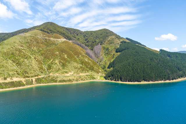 815 Manaroa Road Marlborough Sounds_4
