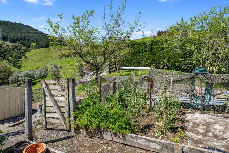 231 Aniseed Valley Road Hope_45