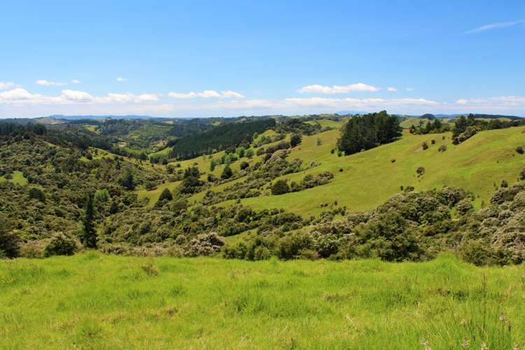 121 Krippner Road Puhoi_18