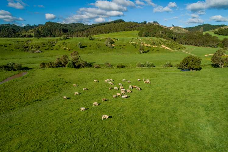 125 Wilson Road Hunua_20