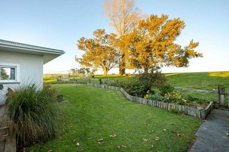 180 Tipapakuku Road Dannevirke_25