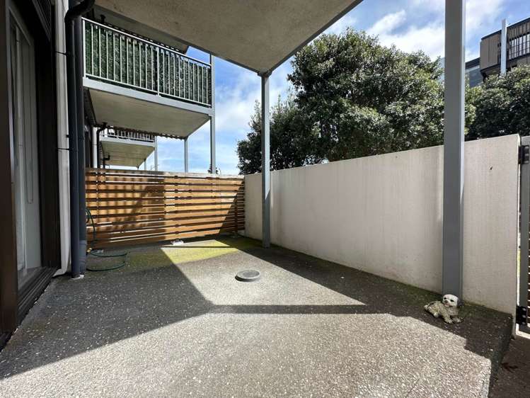 03/4g Bluegrey Avenue Stonefields_6