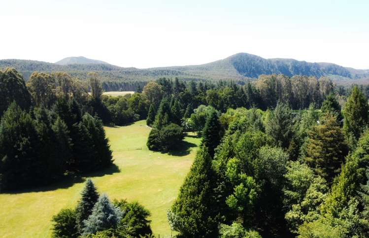 728 Whangamata Road Kinloch_38