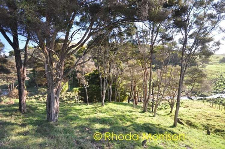 208 Heatley Road Whakapirau_39