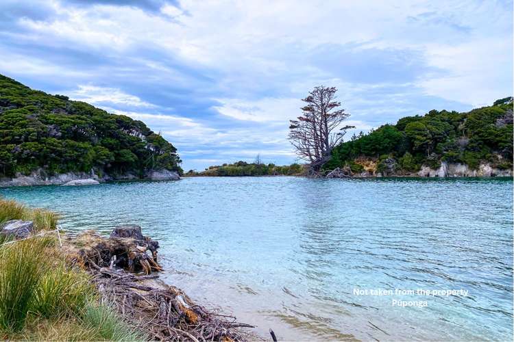 Lot 3/161 Wharariki Road Puponga_10